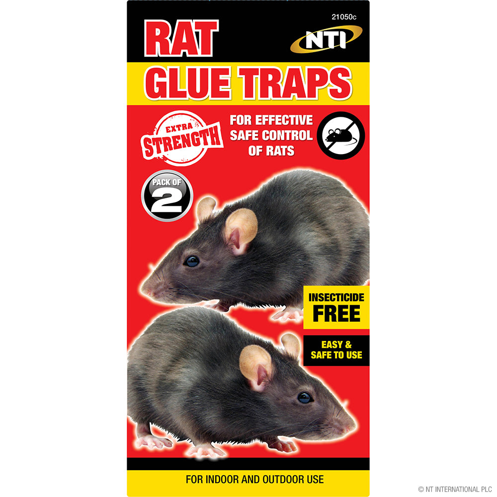 2pc Rat Glue Traps - Display Box