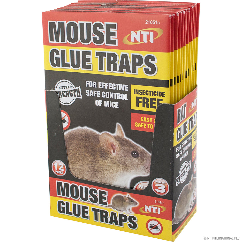 Peak Kit 3pc Mouse Glue Traps - Display Box - Peak Kit
