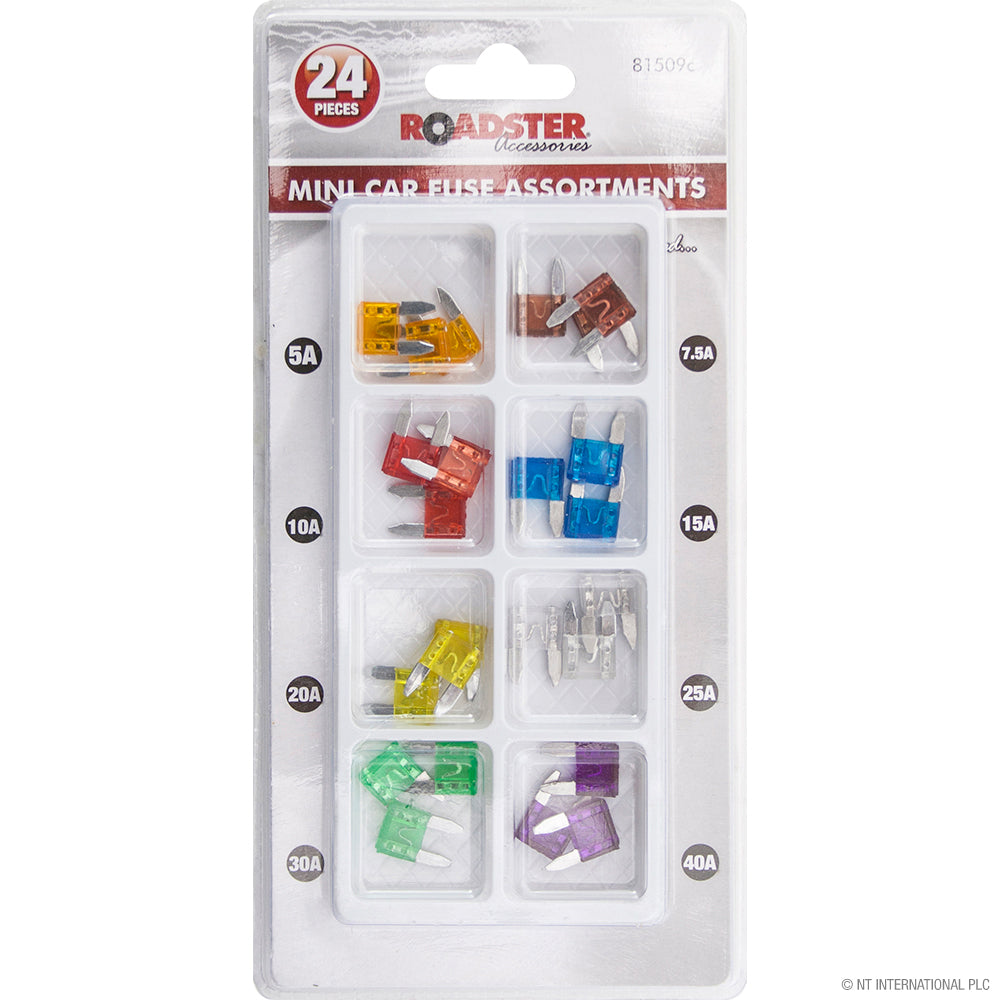 24pc Mini Car Fuse - Assorted