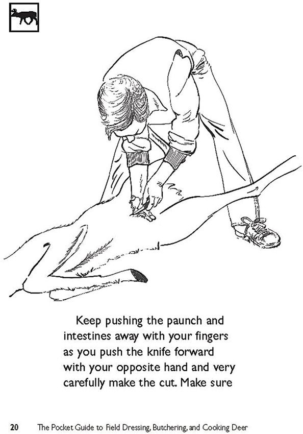 Books Field Dressing - Books (image 3)