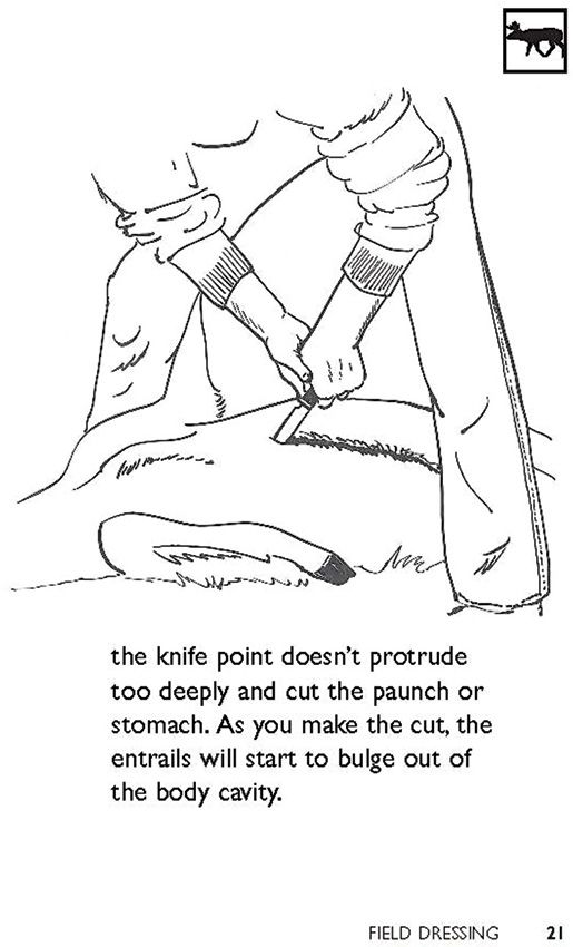 Books Field Dressing - Books (image 4)