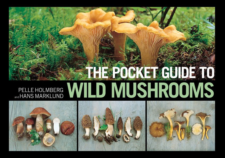 Outdoor Survival Gear - Books - Books