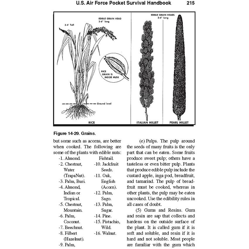 Books Pocket Handbook - Books (image 4)