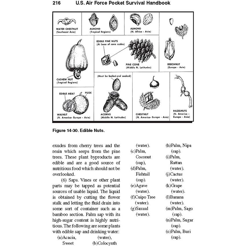 Books Pocket Handbook - Books (image 5)