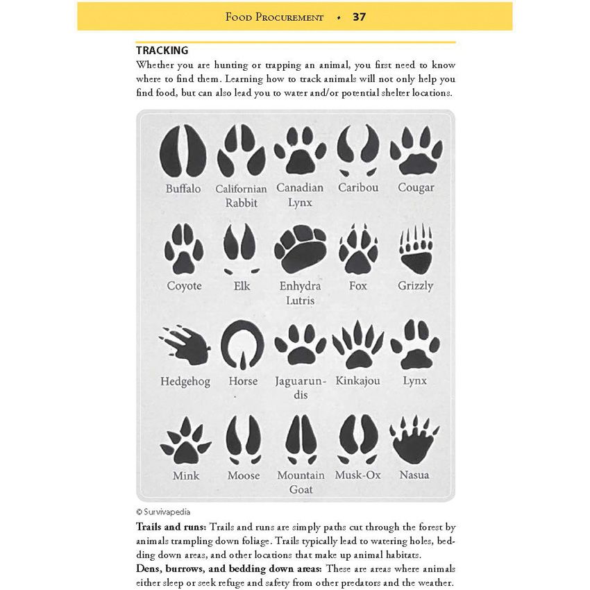 Books Bushcrafting Guide - Books (image 5)