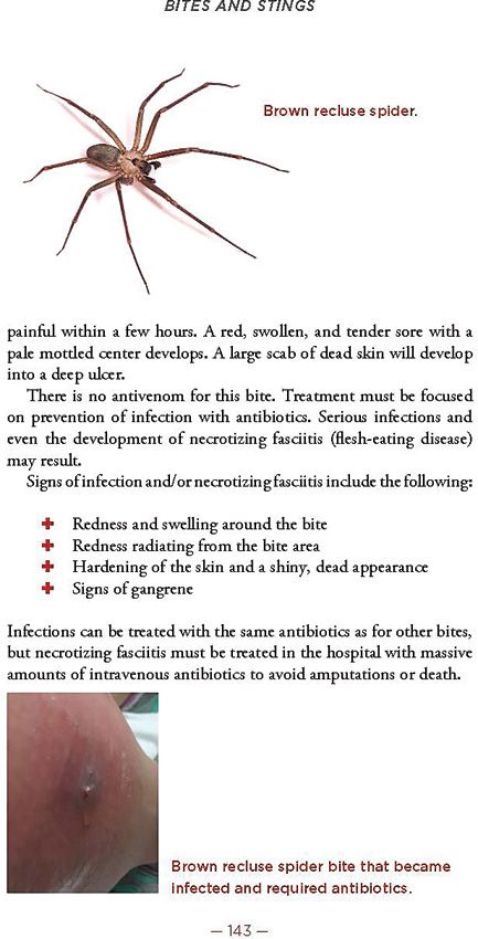 Books Medical Manual - Books (image 4)