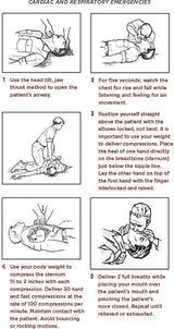 Books Medical Manual - Books (image 5)