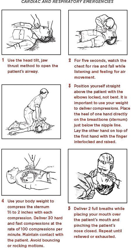 Books Medical Manual - Books (image 5)