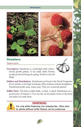 Books Edible Plants (2) - Books (image 3)