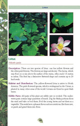 Books Edible Plants (2) - Books (image 4)