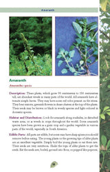 Books Edible Plants (2) - Books (image 5)