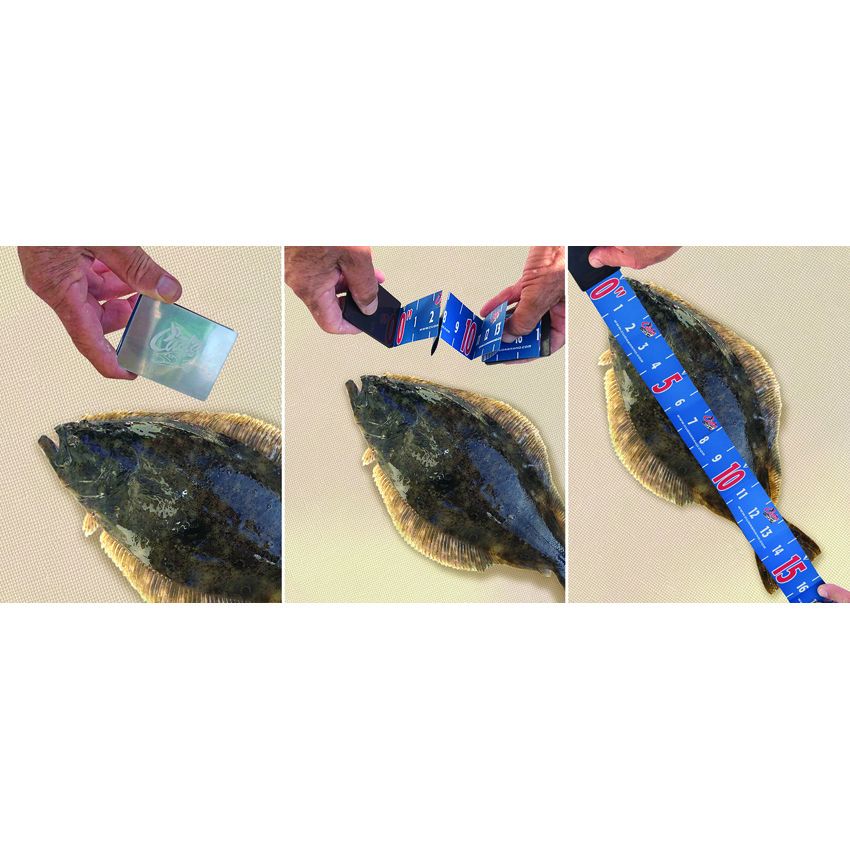 Camillus Portable Retractable Fish Ruler - Camillus (image 3)