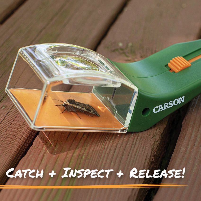Carson Optics Bug Catcher - Carson Optics (image 2)