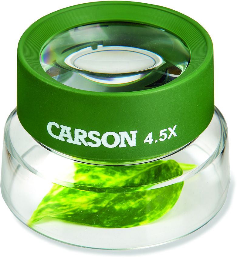 Carson Optics Stand Magnifier - Carson Optics (image 2)