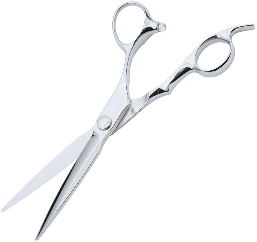 Fallkniven Outdoor Accessory Stainless (Coiffeur Scissor - Fallkniven (image 3)