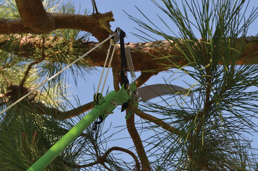 HME Pole Saw Green - HME (image 2)