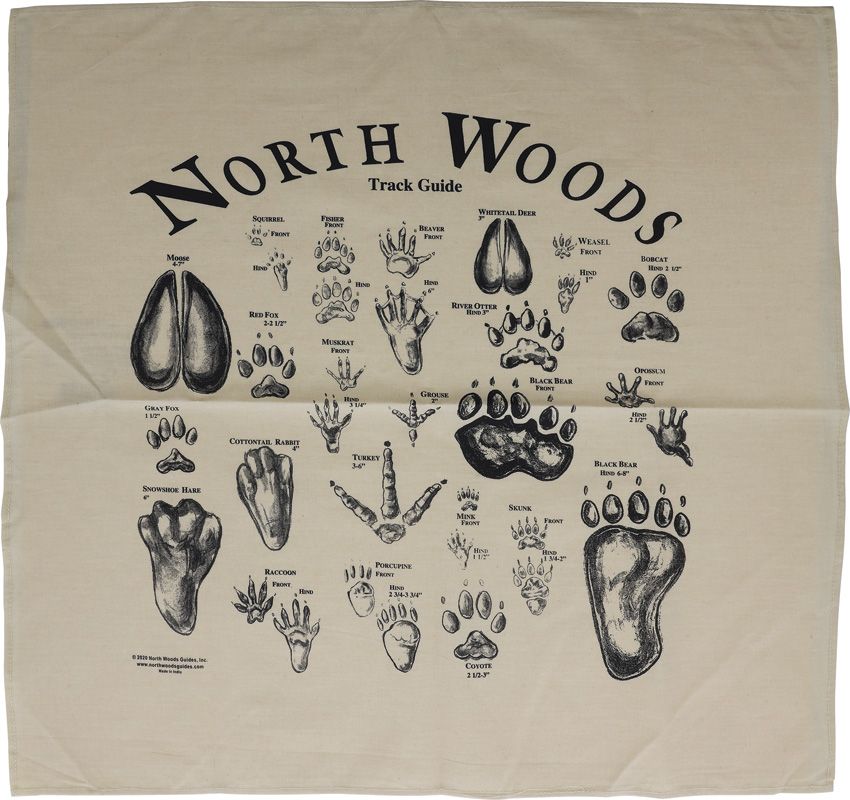 Outdoor Apparel Accessory - North Woods Field Guides Tan Tan - North Woods Field Guides