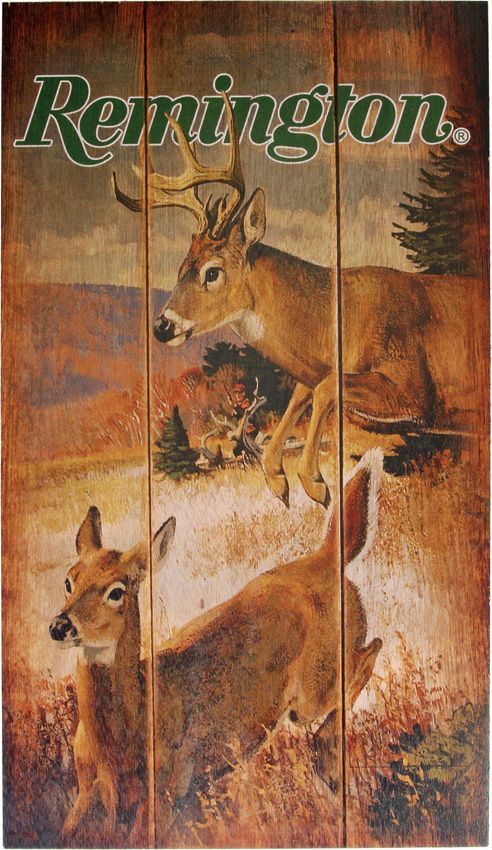 Collector's Item Outdoor - Remington - Remington
