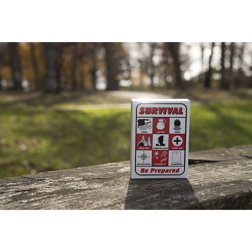 Speedhook Playing Cards (2) - Speedhook (image 3)