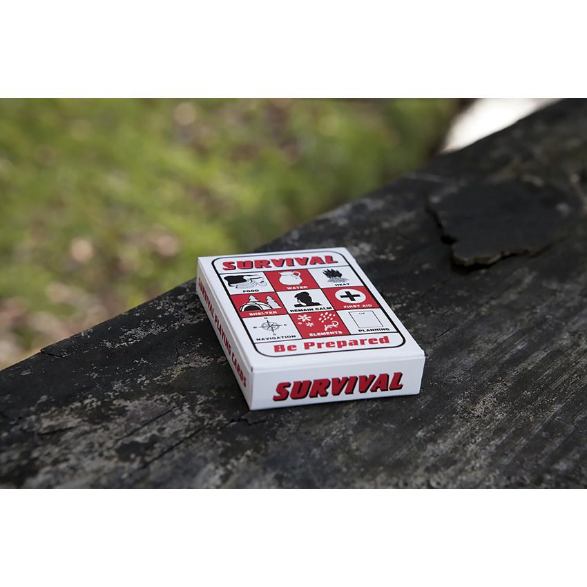 Speedhook Playing Cards (2) - Speedhook (image 4)