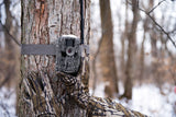 Stealth Cam Trail Cam (2) - Stealth Cam (image 5)