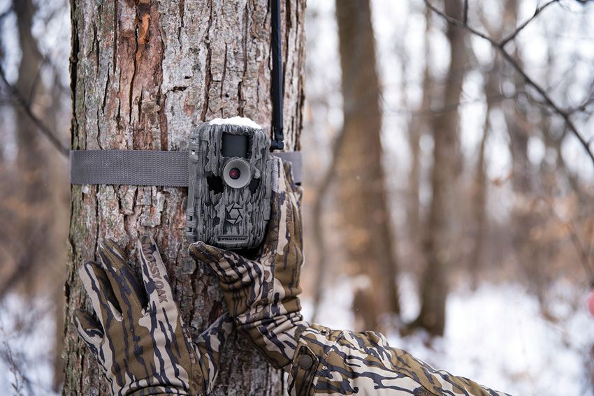 Stealth Cam Trail Cam (2) - Stealth Cam (image 5)