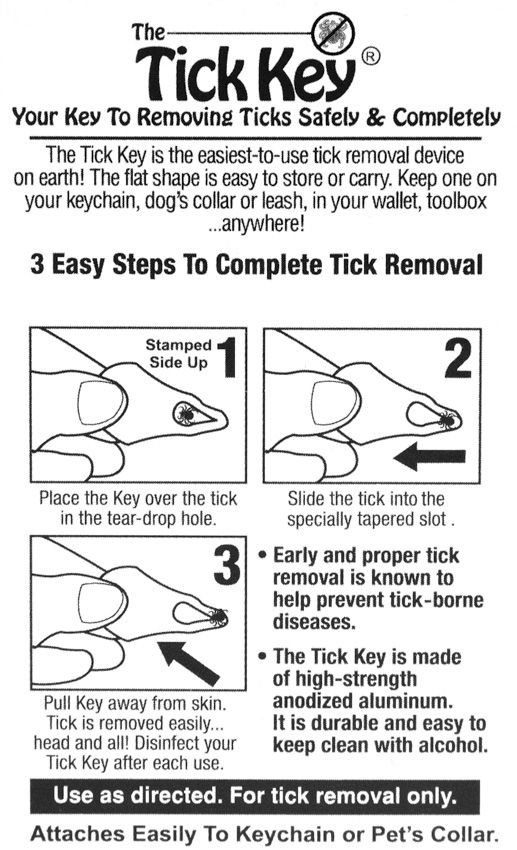 Tick Key Outdoor Survival Gear Varies - Tick Key (image 2)