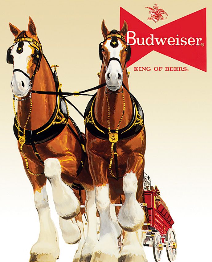 Collector's Item Outdoor - Tin Signs - Tin Signs
