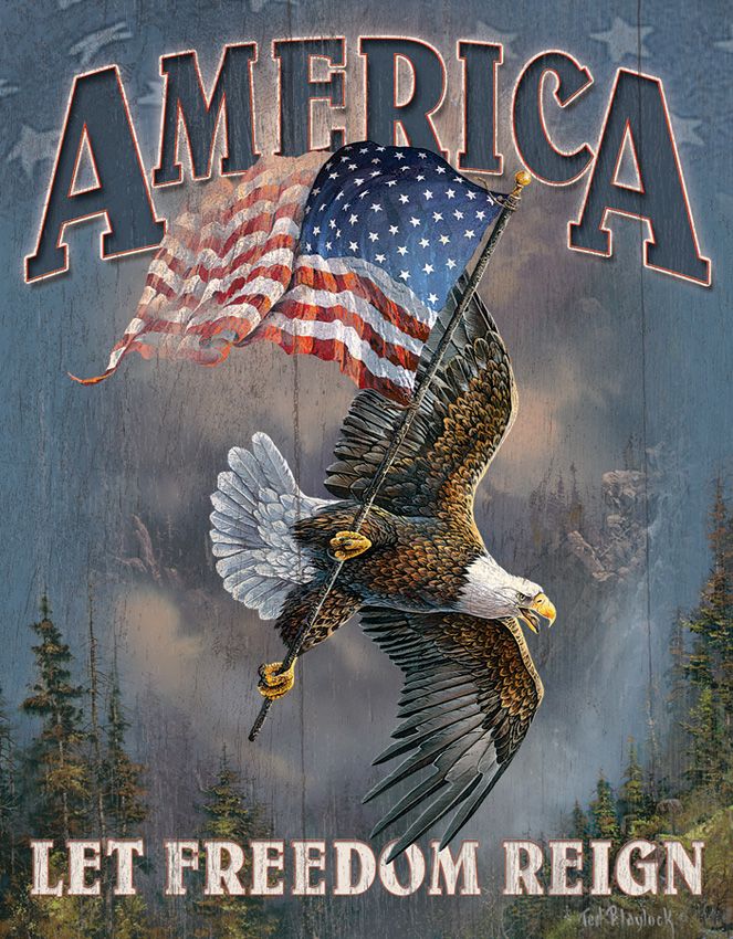 Collector's Item Outdoor - Tin Signs - Tin Signs