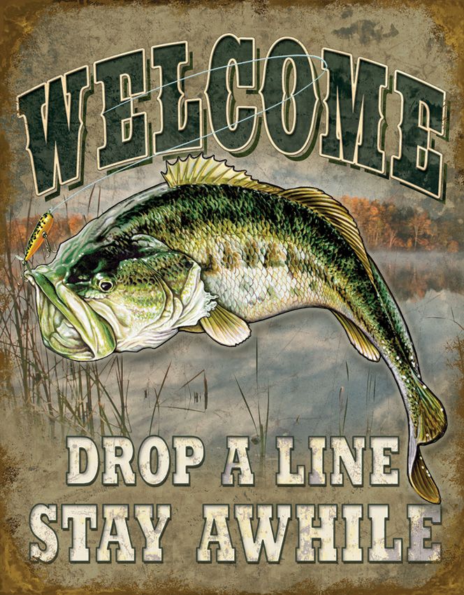Collector's Item Outdoor - Tin Signs - Tin Signs