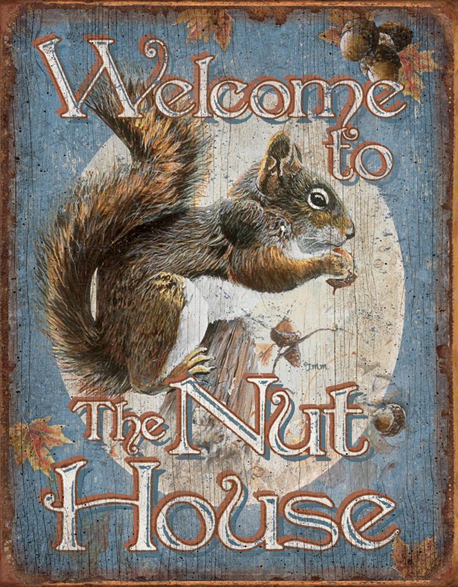 Collector's Item Outdoor - Tin Signs Multi-color Multi-color - Tin Signs