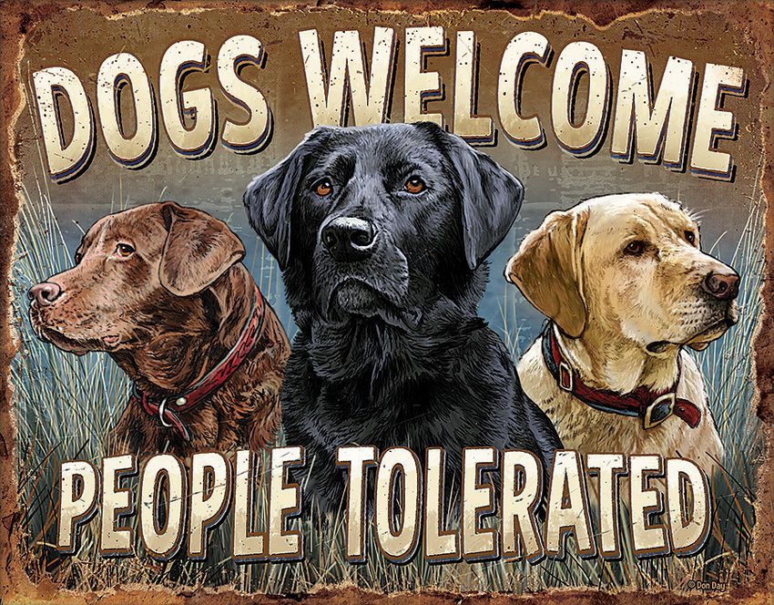 Collector's Item Outdoor - Tin Signs - Tin Signs