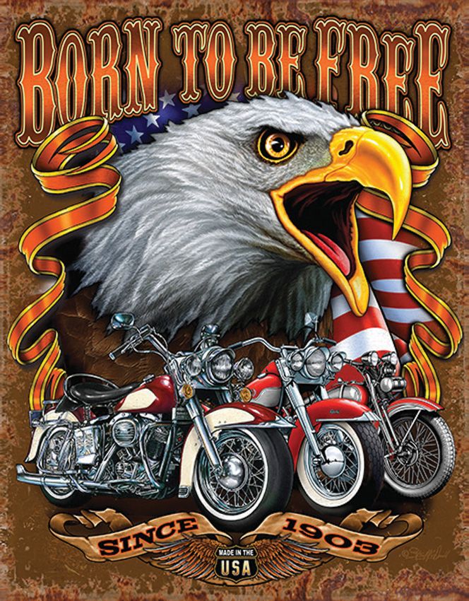 Collector's Item Outdoor - Tin Signs - Tin Signs