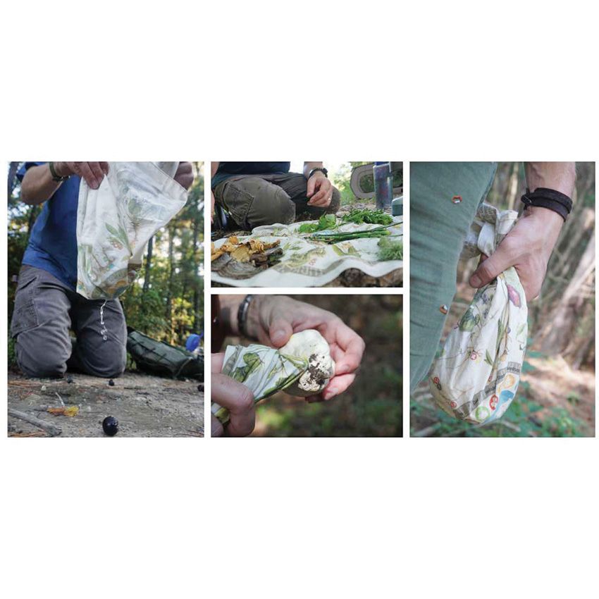 Wazoo Survival Gear Foraging Reference - Wazoo Survival Gear (image 4)