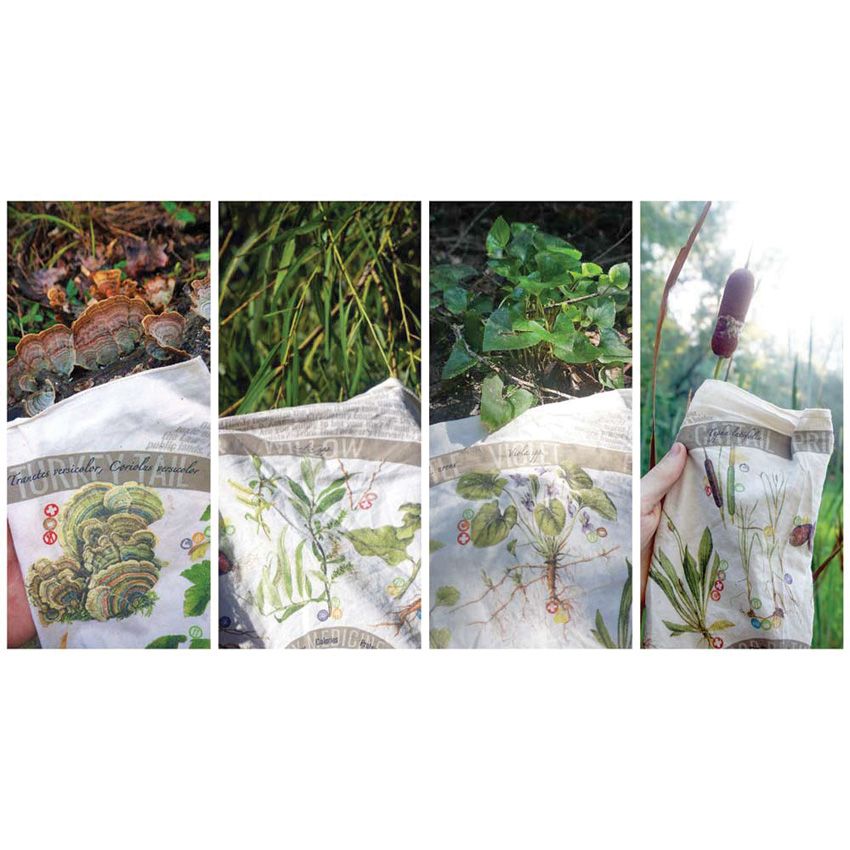 Wazoo Survival Gear Foraging Reference - Wazoo Survival Gear (image 5)
