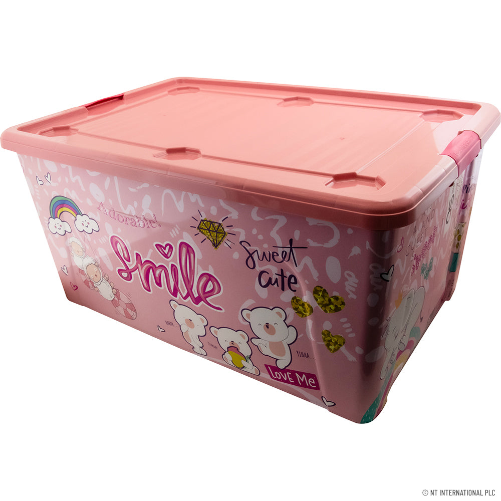 60 LT TOY BOX